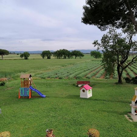 Agriturismo Susanna E Atria บิบโบนา ภายนอก รูปภาพ
