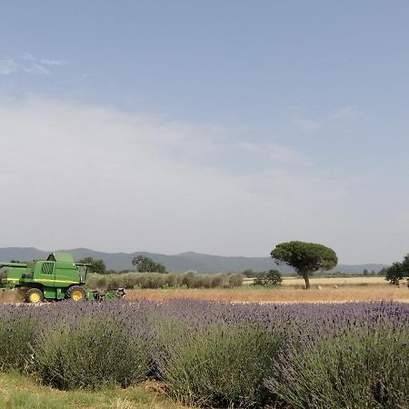 Agriturismo Susanna E Atria บิบโบนา ภายนอก รูปภาพ