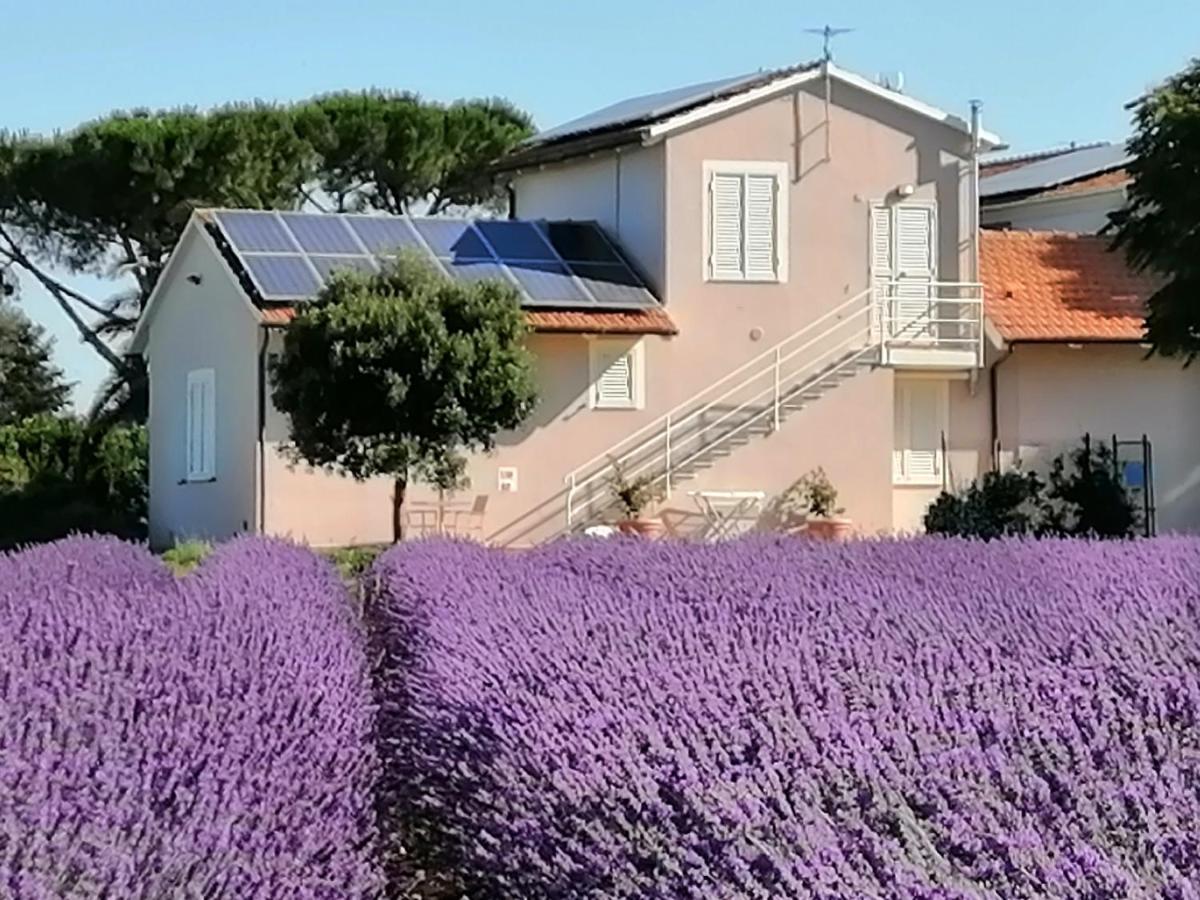 Agriturismo Susanna E Atria บิบโบนา ภายนอก รูปภาพ