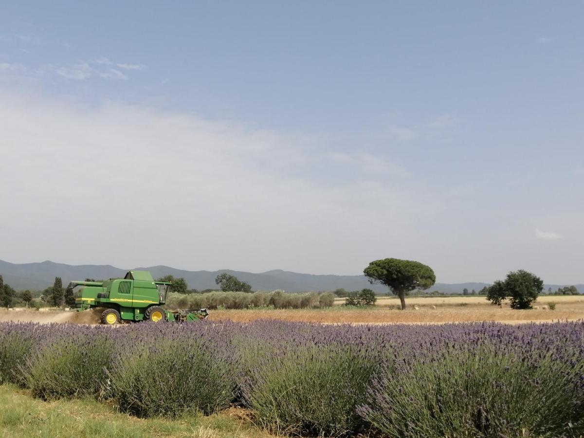 Agriturismo Susanna E Atria บิบโบนา ภายนอก รูปภาพ
