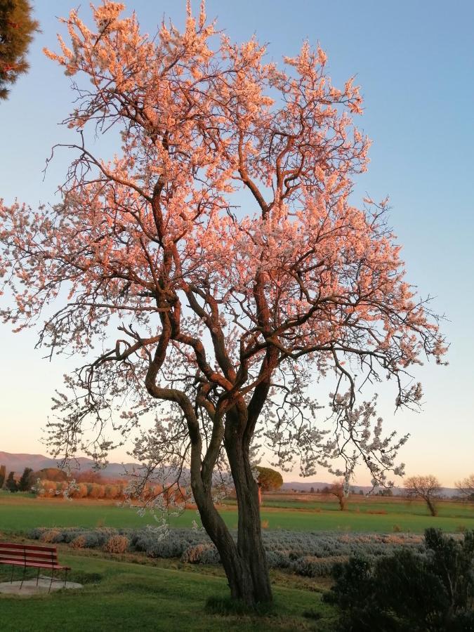 Agriturismo Susanna E Atria บิบโบนา ภายนอก รูปภาพ