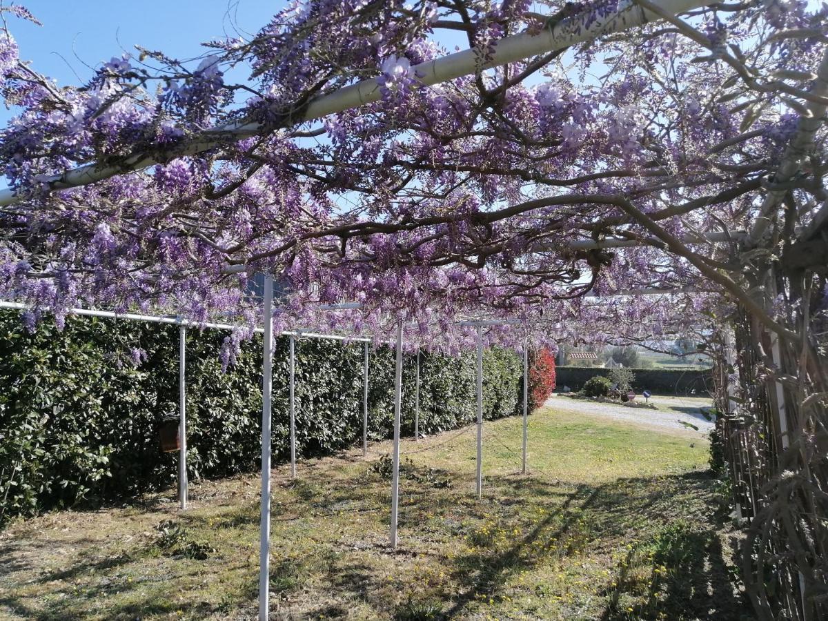 Agriturismo Susanna E Atria บิบโบนา ภายนอก รูปภาพ